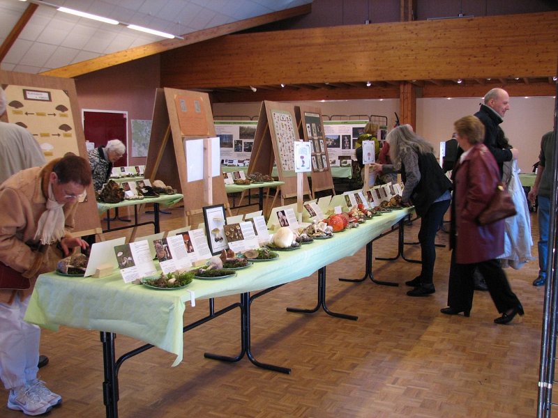 2009 10 Expo champignons de Clairefontaine 36